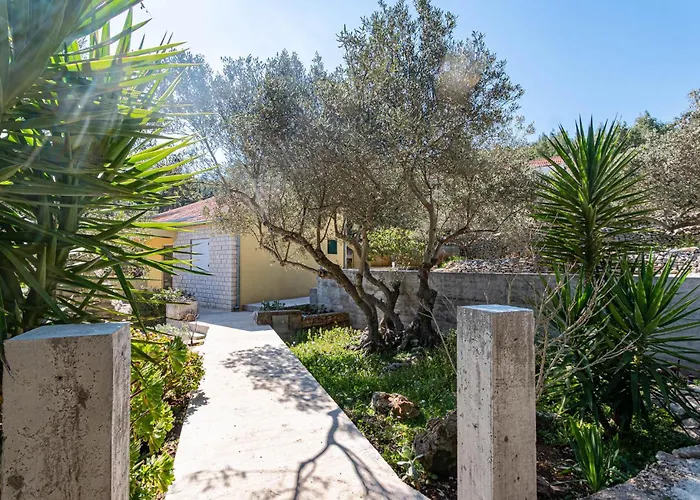 Amazing In * Blato (Korcula)